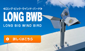 LONG　BWBの詳細はこちら
